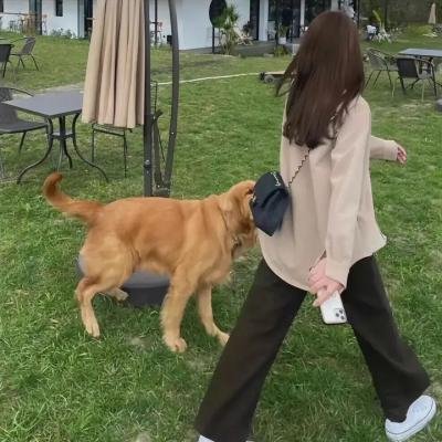 戏说台湾之无面妈 海报