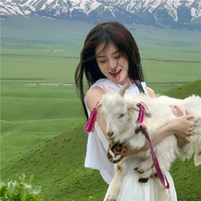 我的大嚿父母 海报